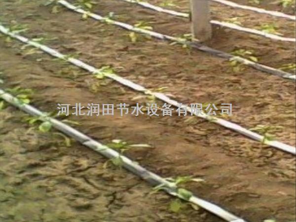 汉中市南郑县出售大田滴灌带|紊流器 厂家指导安装