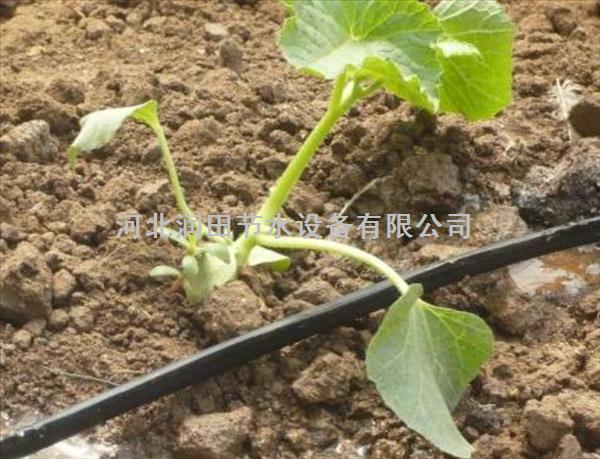 汉中市使用广泛PE滴灌带 南郑县抗老化滴灌带