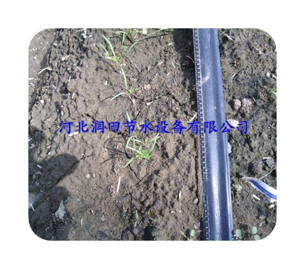 南郑县内镶贴片式滴灌带有售 汉中市膜下滴灌带优惠