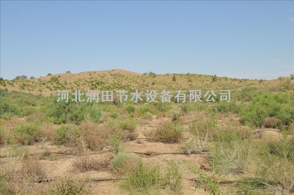 汉中市使用方便滴灌带 南郑县维护简单微滴带