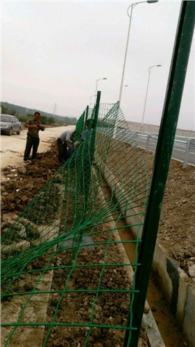 荷兰网   路捍拱