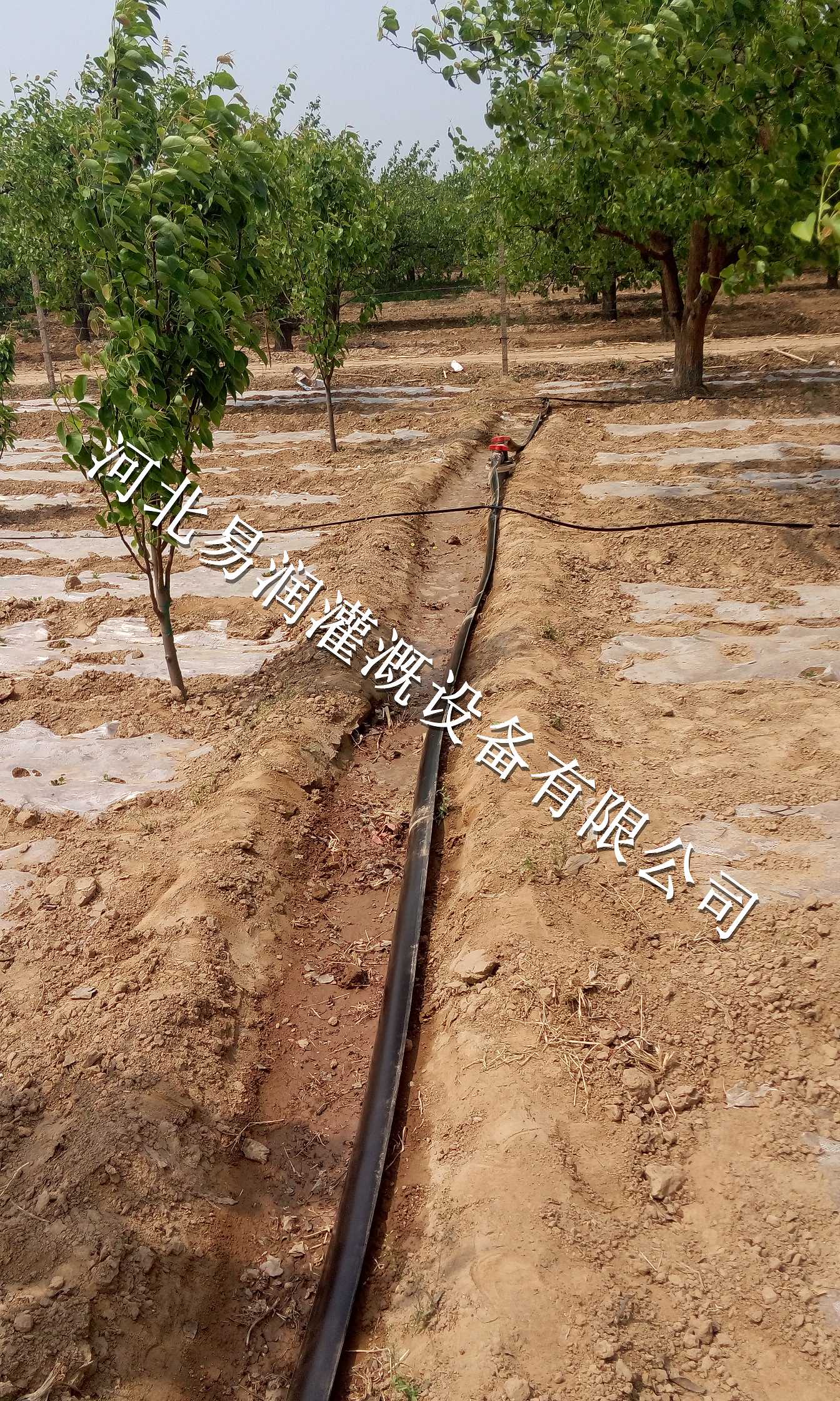 义马市农业专用微喷带 出水带型号齐全