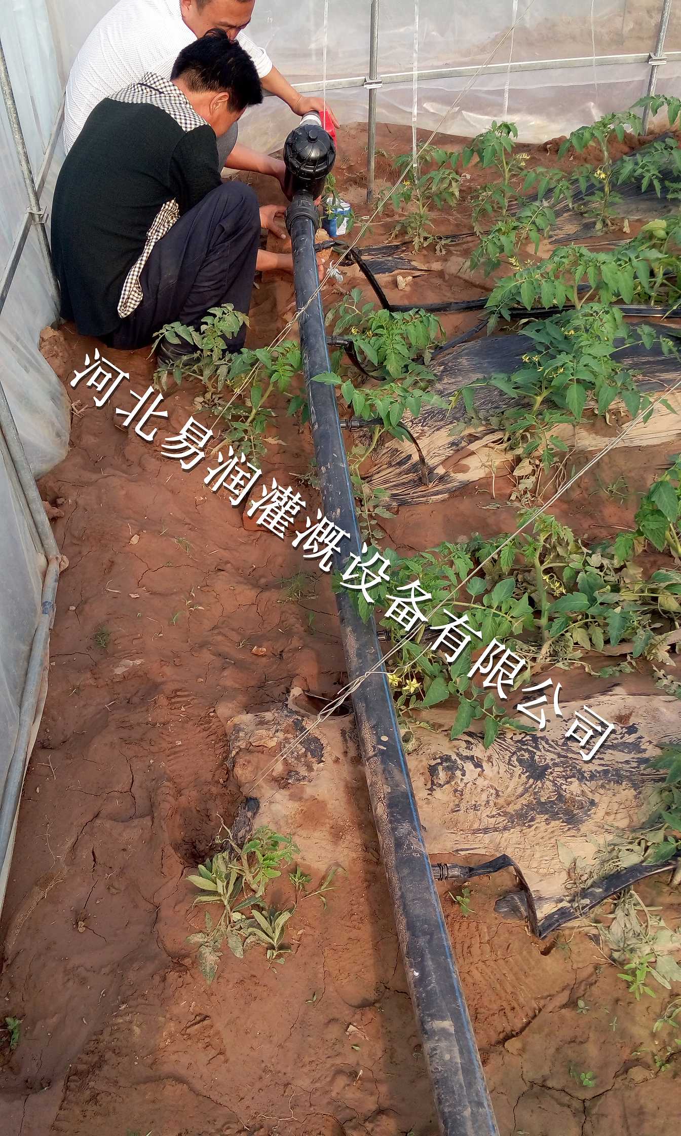 专业生产微喷带 义马市专注出水带