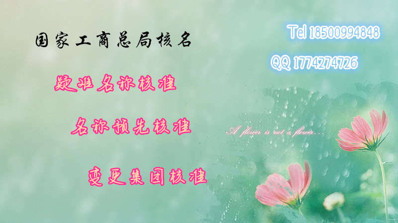 无地域名称的企业核名