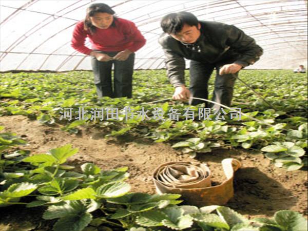 汉中市质量上乘贴片滴水带 洋县灵芝浇水滴灌带