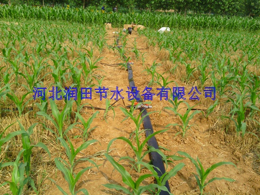 汉中市水肥一体化设备安装 西乡县耐用微喷带铺设