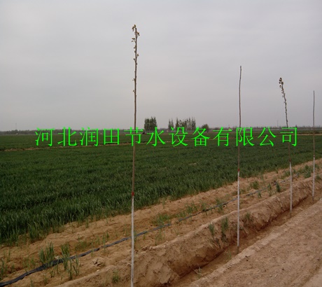 汉中市水肥均匀灌溉微喷带 西乡县方便好用出水带
