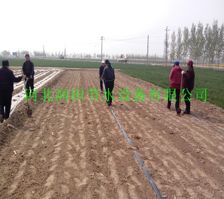 汉中市经济实用黑色水带 西乡县销量高微喷带