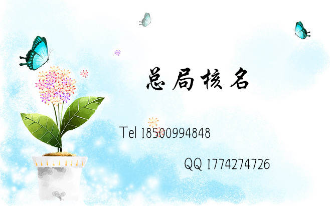 总局名称核准