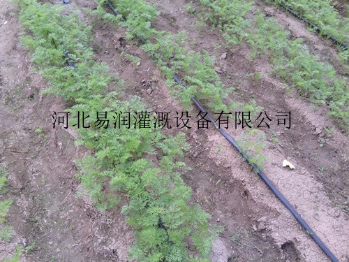 丰州镇滴灌带工程 渗水带厂家