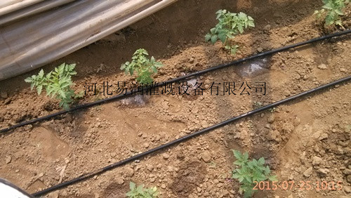 直销滴灌带 丰州镇大量出售渗水带