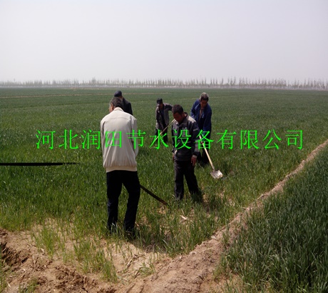 西乡县节水增收微喷带批发 汉中市厂家直供输水带
