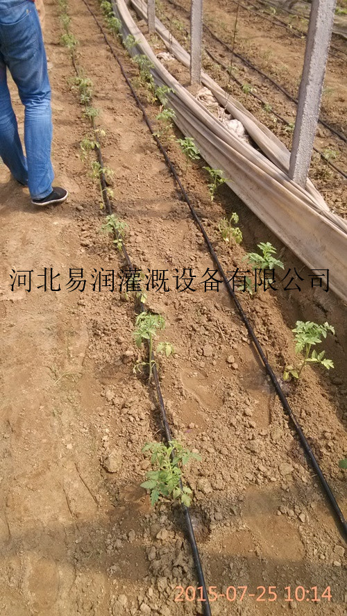 南市区厂家直销滴灌带 量大优惠滴水带