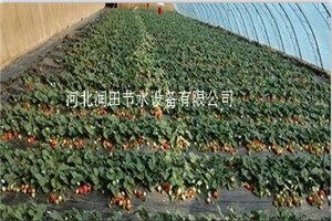 南郑县价钱低内镶滴灌管 汉中市加工精细滴灌管