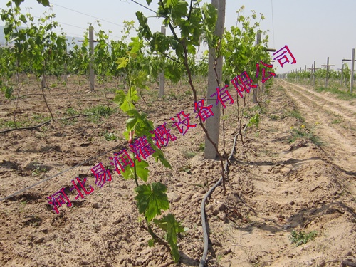 滴灌管生产线 大宁县黑色滴水管生产线