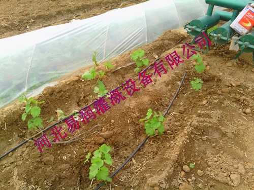 大宁县绿化工程 优质 滴灌管批发