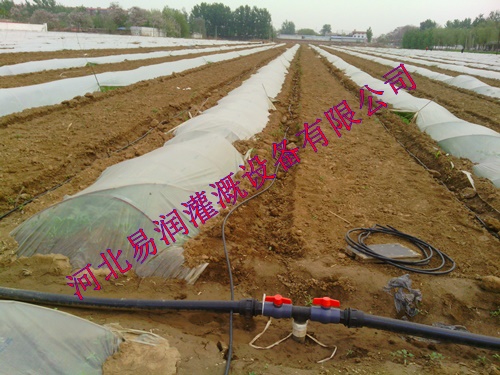 大宁县滴灌管防风化  耐用黑色滴水管