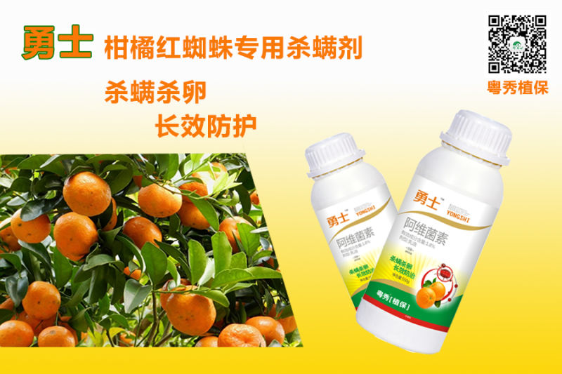 红蜘蛛杀虫杀螨药杀螨类害虫用什么药新成分杀螨剂产品