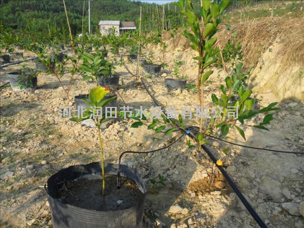 石家庄大棚滴灌滴箭-河北润田节水设备有限公司