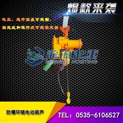 1吨防爆环链电动葫芦，安全系数高，电压/起升高度可定制