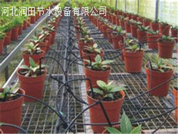 石家庄正定大棚滴灌用滴箭|花卉基地用滴箭