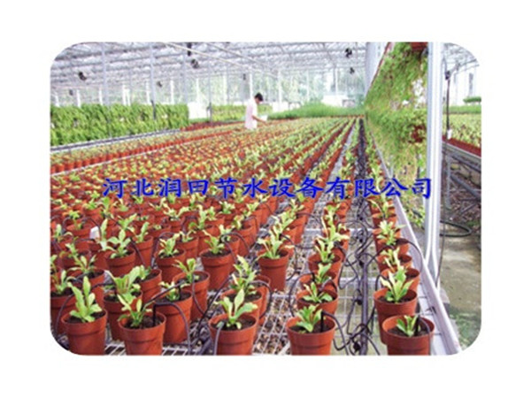 邢台果树滴灌//花卉滴箭设备低价促销