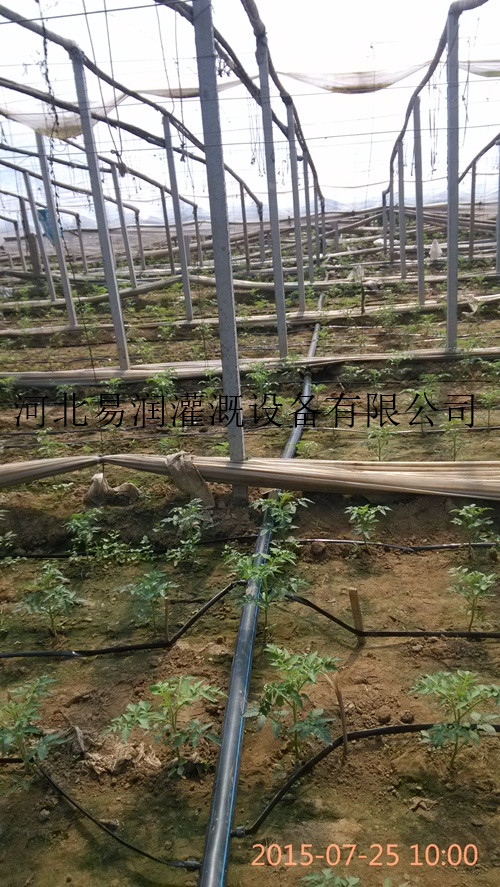 灵丘县厂家直销滴灌带 广泛应用PE滴水带