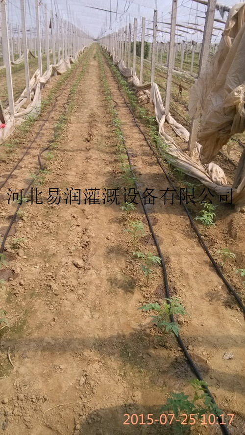 优质 滴管带 灵丘县PE滴水带生产厂家