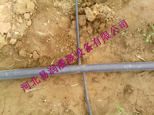 稷山县滴灌管供应 滴水软管滴灌厂家