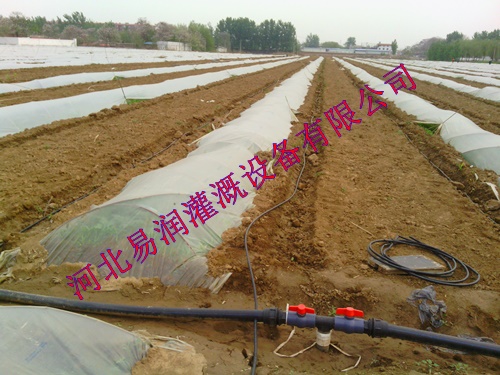 稷山县滴灌管型号 滴灌设备齐全