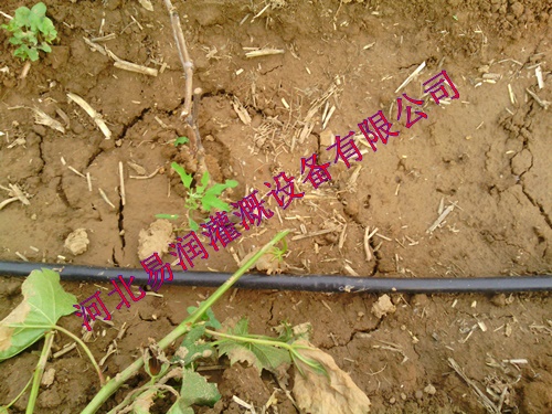 稷山县优选滴灌管 方便简介使用滴水软管