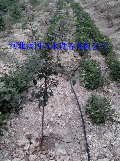 渭南蒲城县果园滴水毛管|紊流器 价格公道