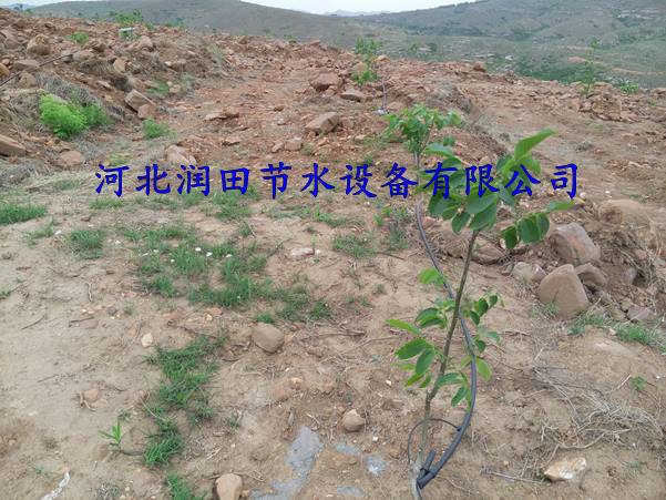 耐用果园滴水毛管 渭南蒲城县滴头滴灌厂家