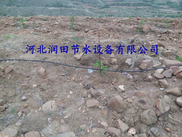 渭南蒲城县果园滴水毛管|紊流器使用效果