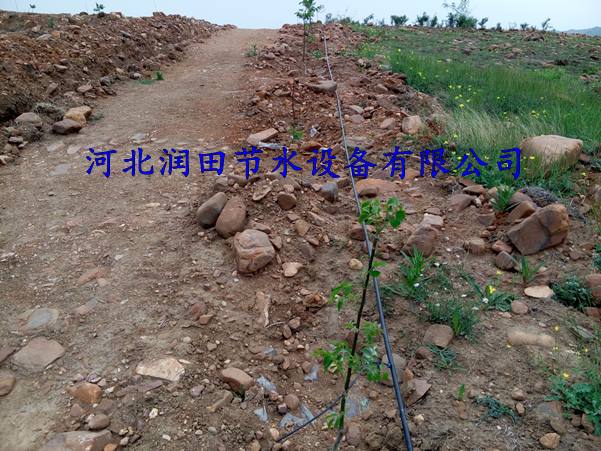 渭南果园滴水毛管|蒲城县紊流器价格