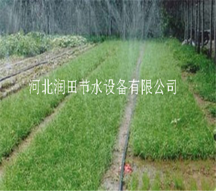 保定涿州县微喷带型号有哪些 怎么卖？