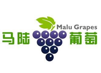 马陆葡萄的价格,马陆葡萄采摘园价格,马陆葡萄团购