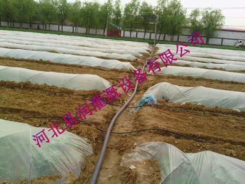 滴灌管用途 闻喜县耐用长久过滤器