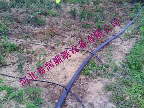 闻喜县滴灌管 16毫米滴灌管定做