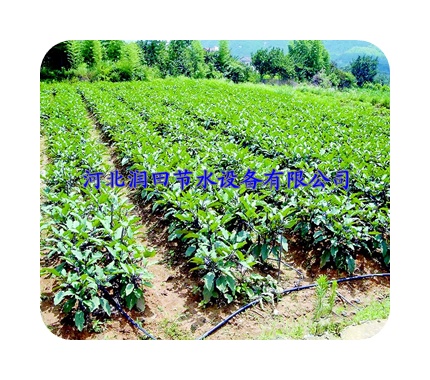 河北张家口张北县马铃薯节水灌溉滴灌|滴灌带价格