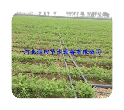 河北张家口张北县马铃薯节水浇水软带\\滴灌带多少钱一米