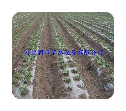 河北张家口大田滴灌|膜下滴灌带规格齐全、低价促销
