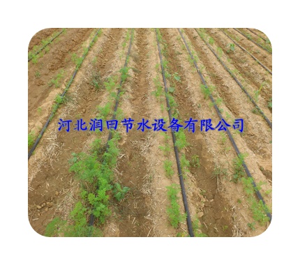 张家口张北县大田滴灌-专用滴灌带生产厂家