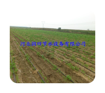 张家口张北县供应大田滴灌 滴灌带设备 滴灌厂家