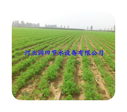 张家口张北县大田滴灌||滴灌带||水肥一体化节能灌溉