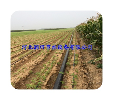 河北张家口膜下滴灌设备|膜下软带、品质上乘