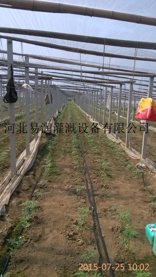 绛县生产优质滴灌带 出售 滴水带