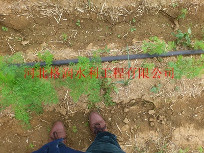 一体系统设备|邯郸永年黑色滴水带