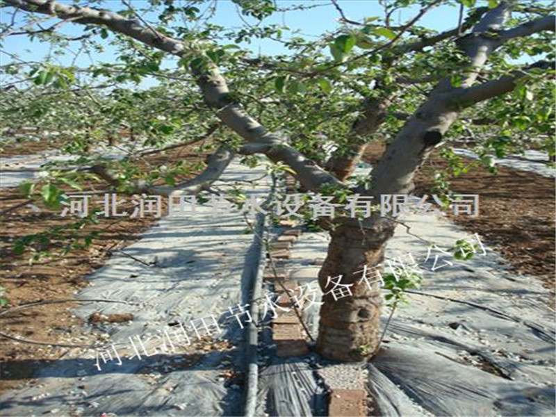 河北张家口滴灌毛管价格 果树滴灌批发价格