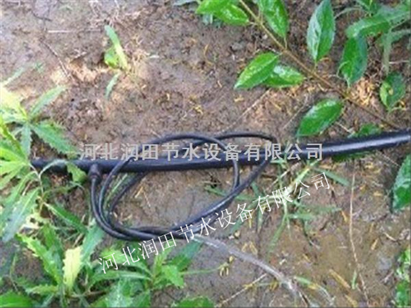 河北张家口涿鹿县果树滴灌小管出流 专业生产厂家